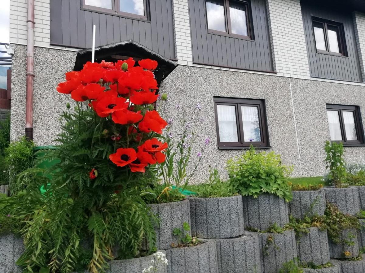 Ferienwohnung Suetovius Oberwiesenthal Zewnętrze zdjęcie